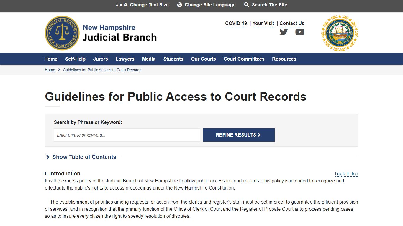 Guidelines for Public Access to Court Records